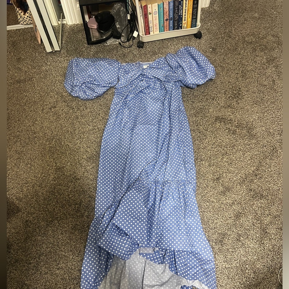 Caroline Constas Light Blue Polka Dot Dress